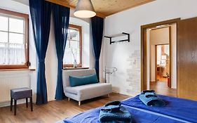 Vanek Apartment