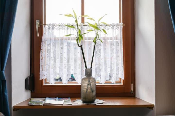 Vanek Apartment Kotschach-Mauthen Zewnętrze zdjęcie
